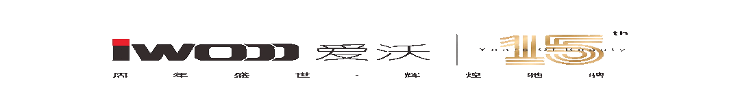 廣州愛(ài)沃計(jì)算機(jī)科技有限公司
